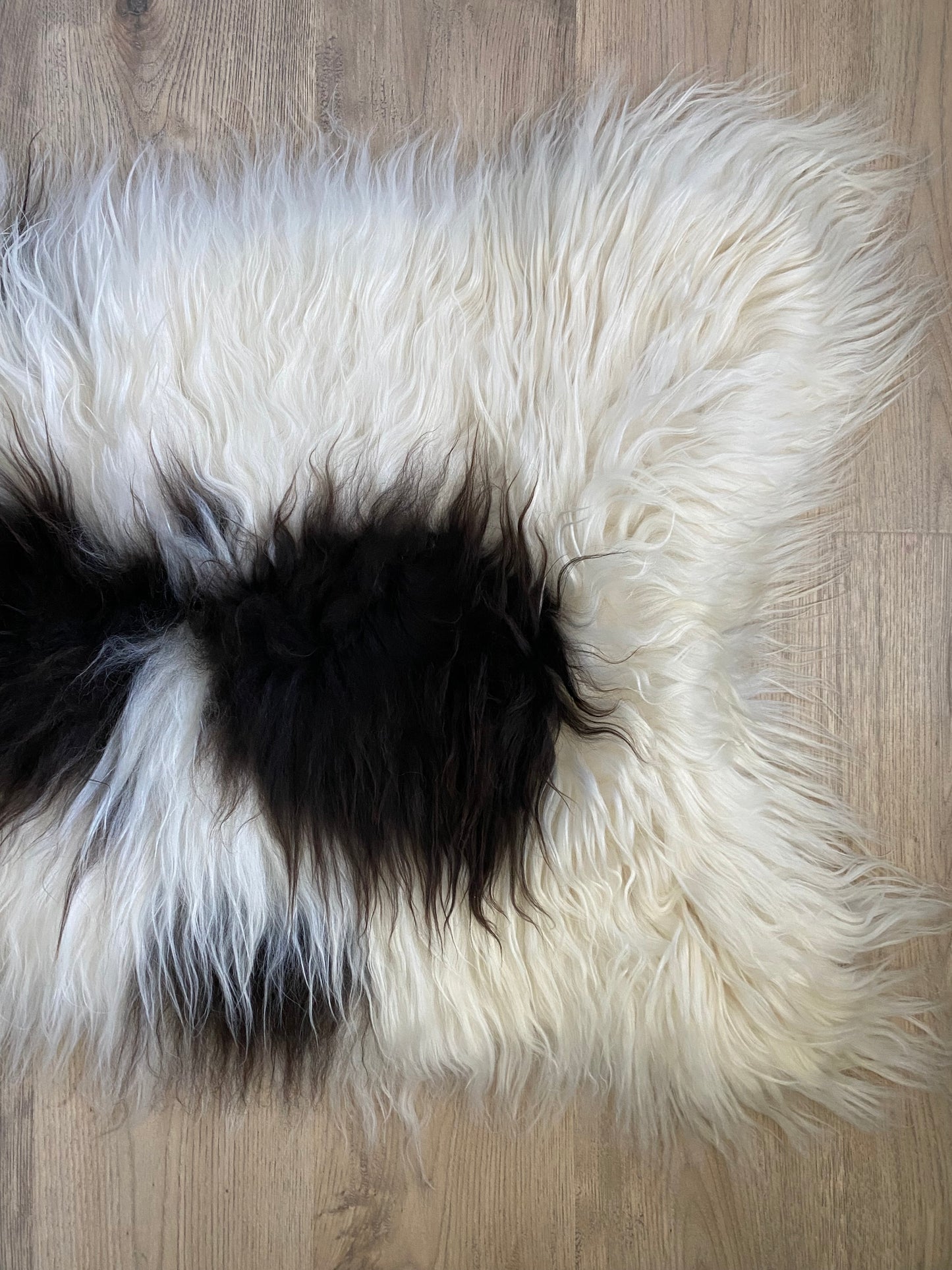 Spotted Brown Icelandic Sheepskin