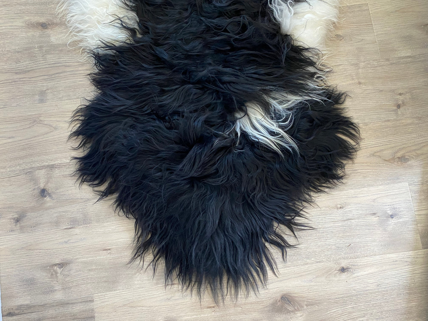 True Black Piebald Icelandic Sheepskin