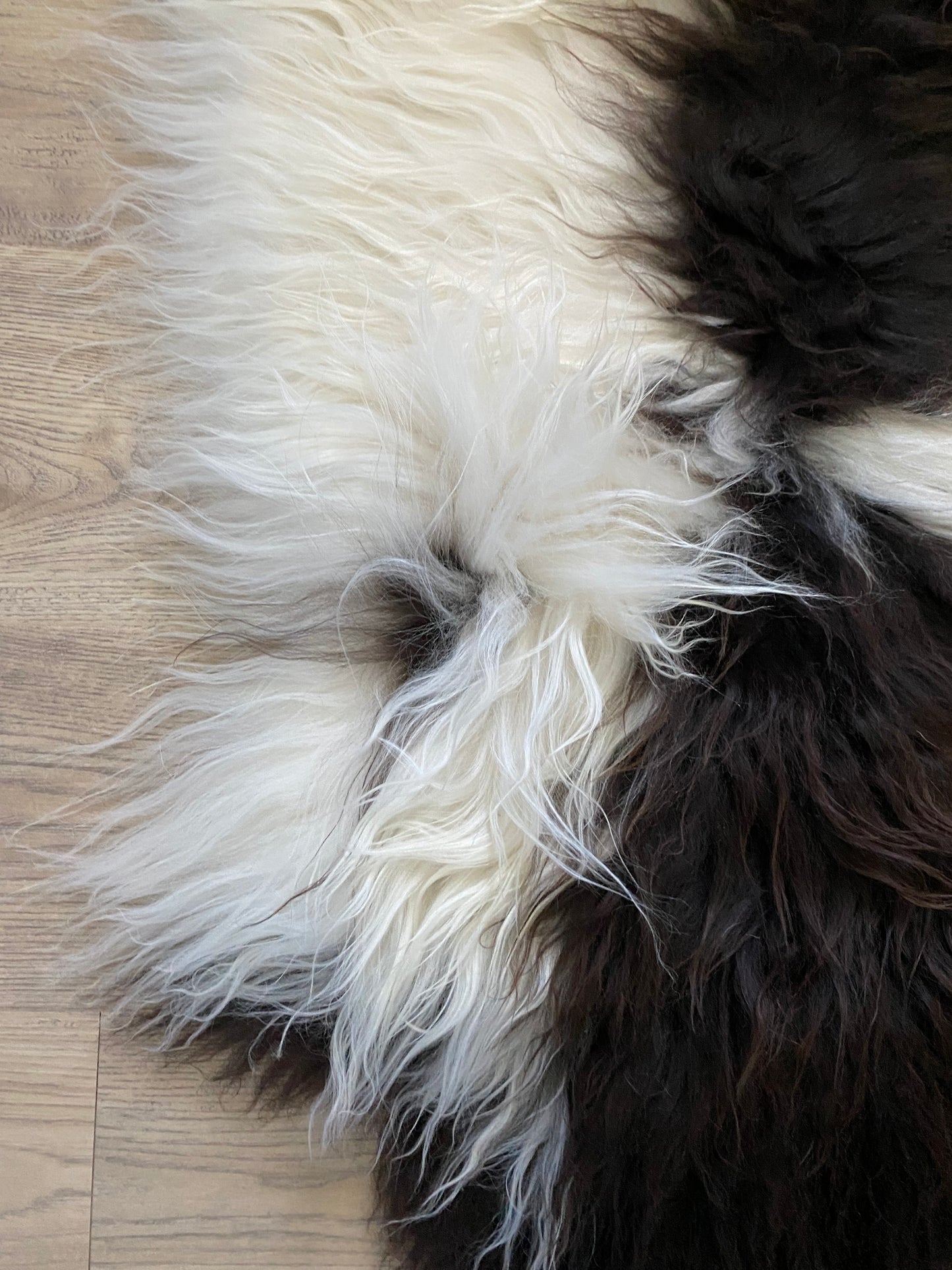 Spotted Brown Icelandic Sheepskin