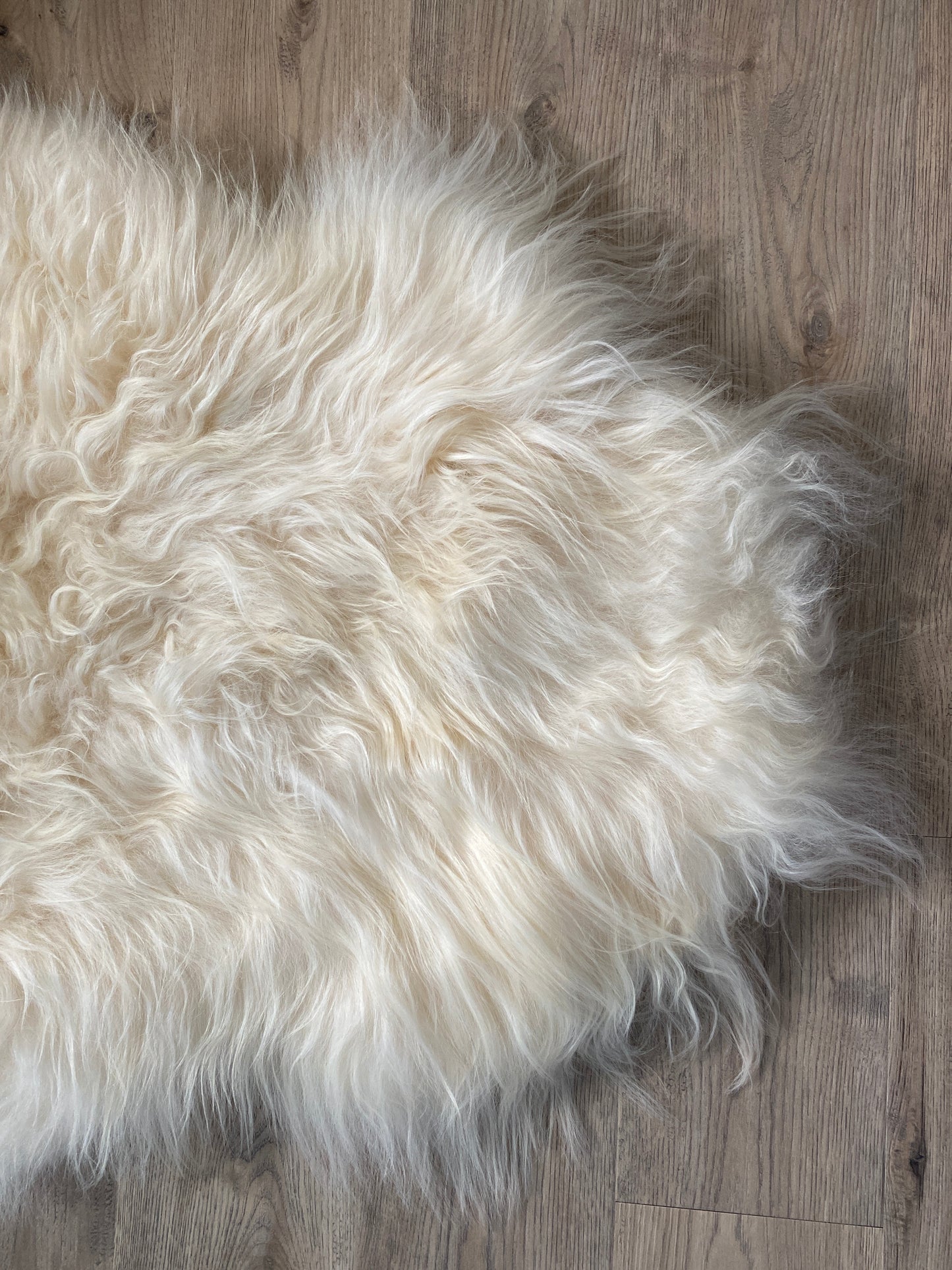 Creamy White Real Icelandic Sheepskin