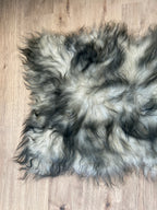 Where Have You Been All My Life?! Black Tipped Icelandic Sheepskin