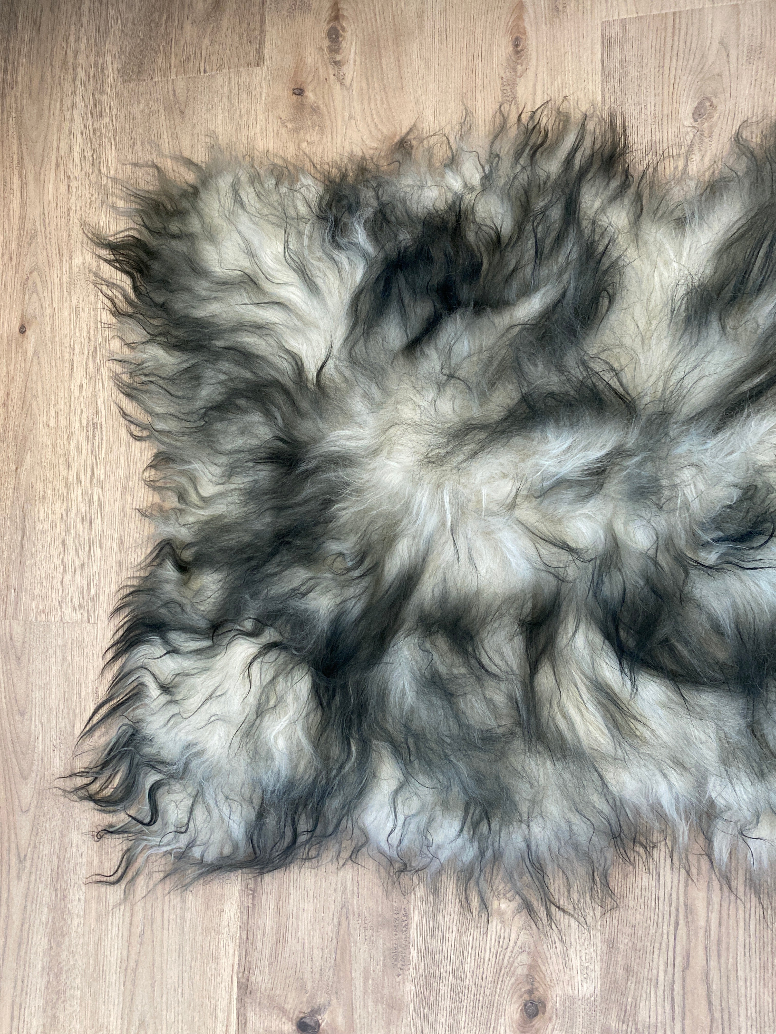 Where Have You Been All My Life?! Black Tipped Icelandic Sheepskin