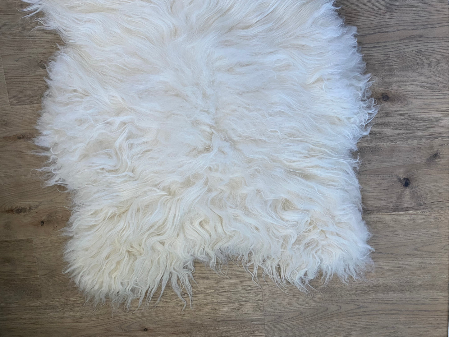Genuine Icelandic Sheepskin White With Super Secret Stripe