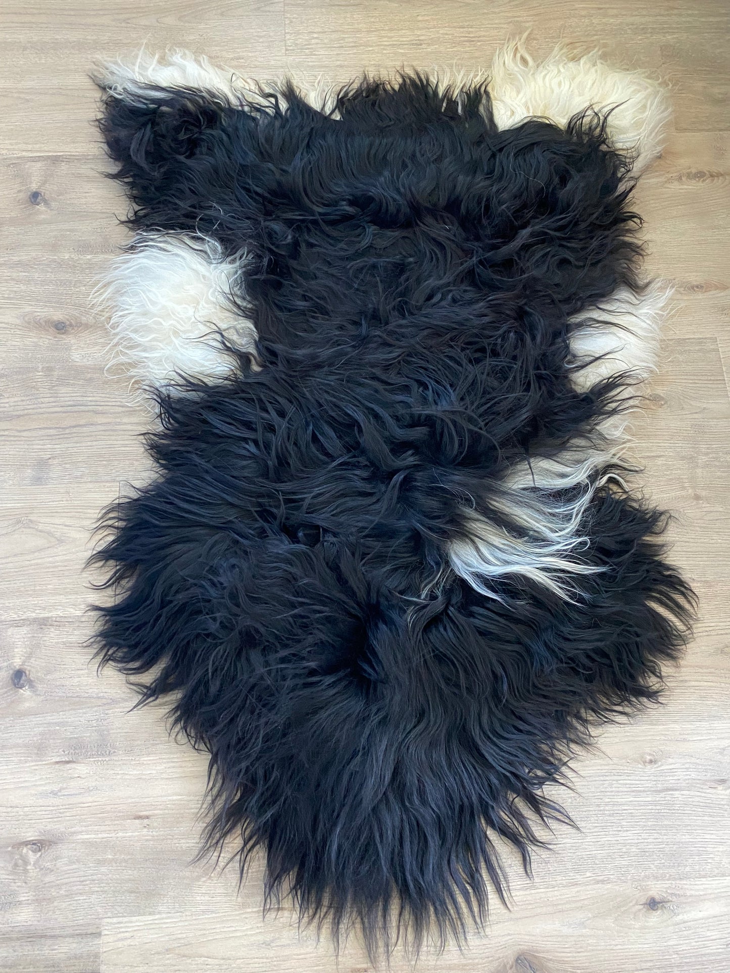 True Black Piebald Icelandic Sheepskin