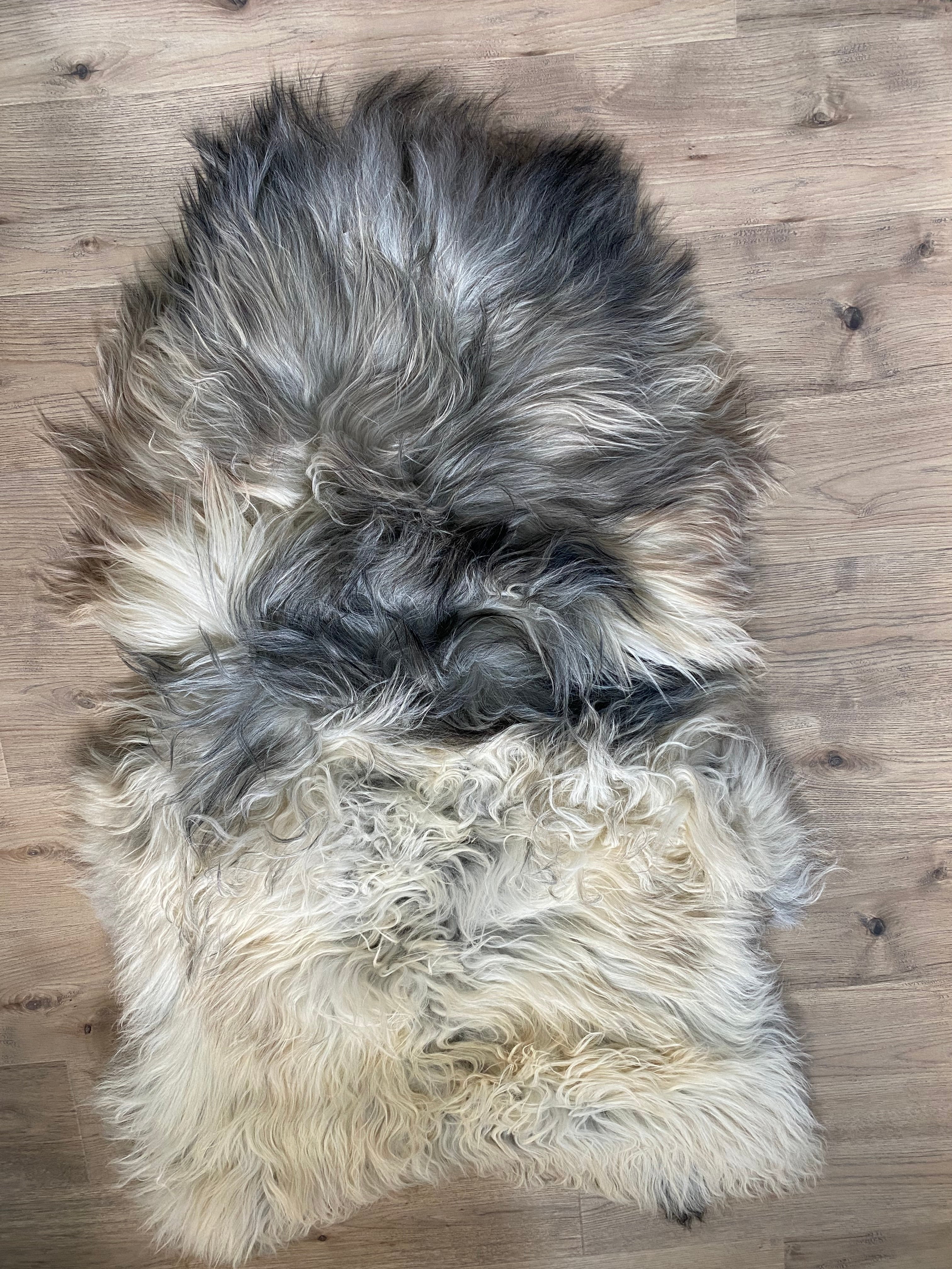 The Great Silverback Giant Icelandic Sheepskin