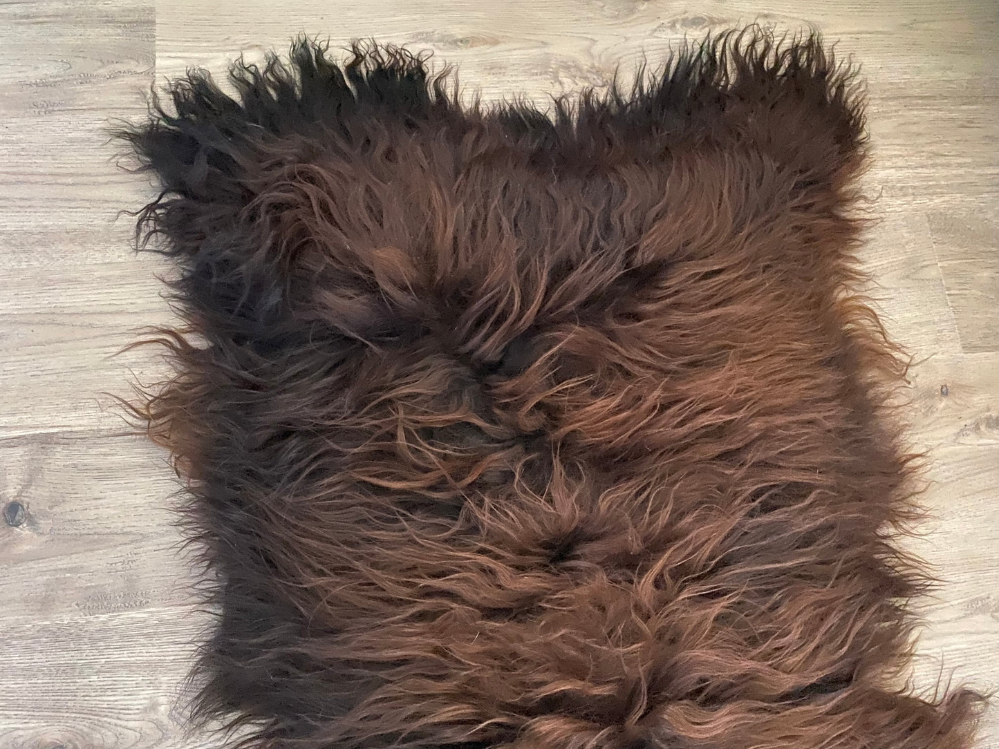 Icelandic Sheepskin Cuddle Up