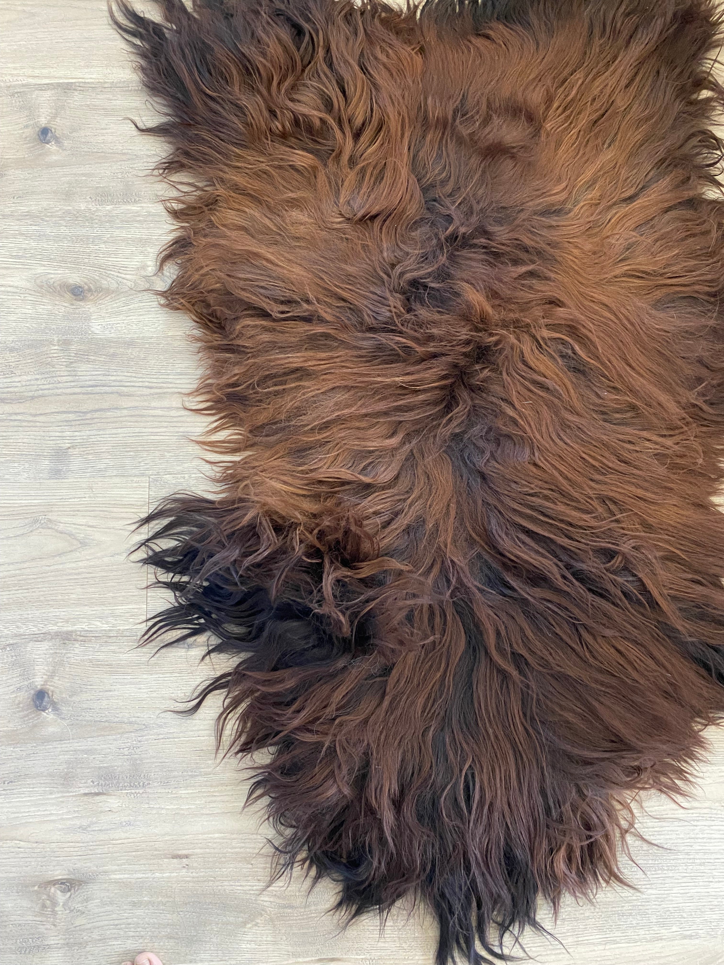 Dark Cinnamon Icelandic Sheepskin
