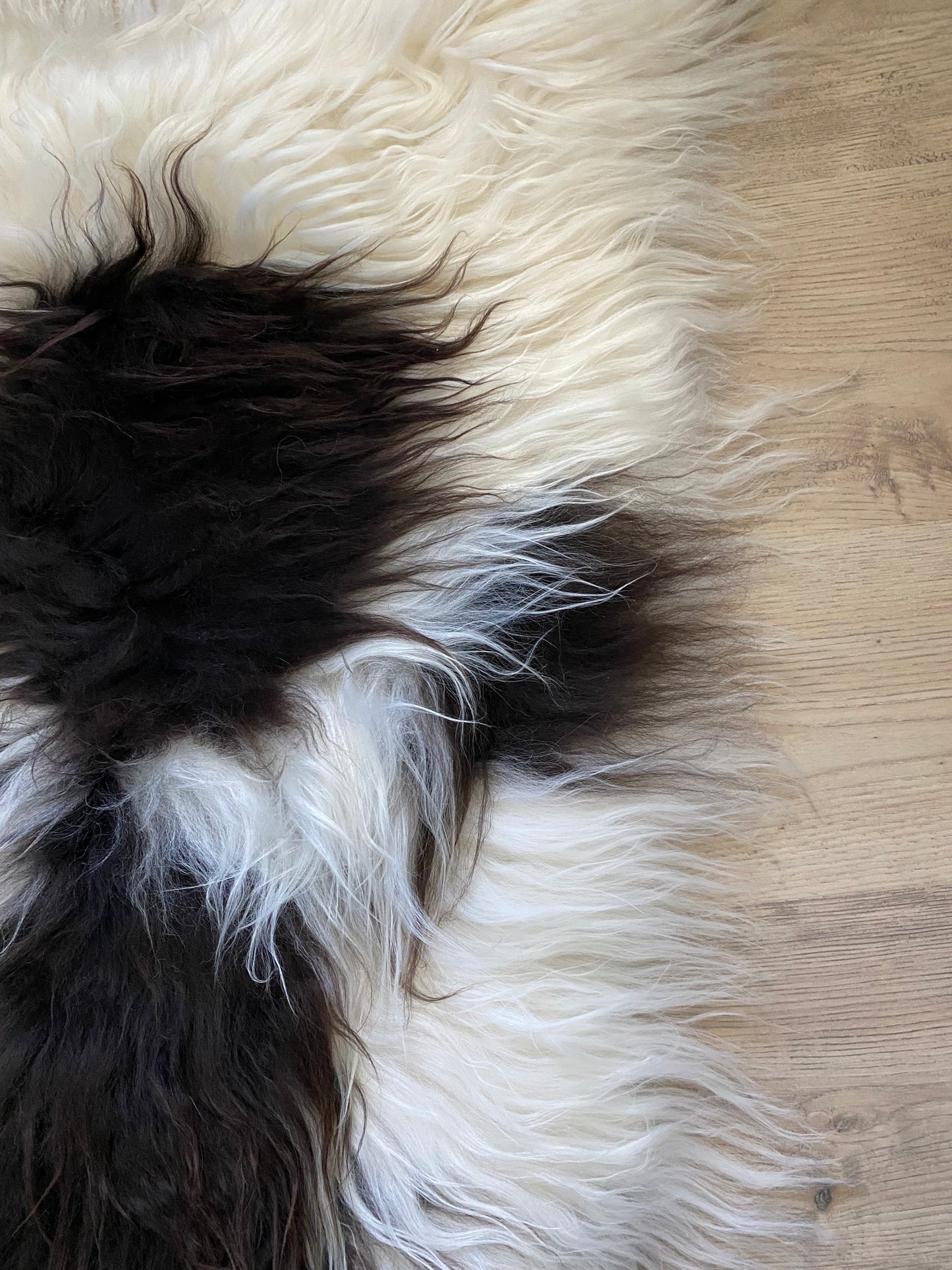Spotted Brown Icelandic Sheepskin