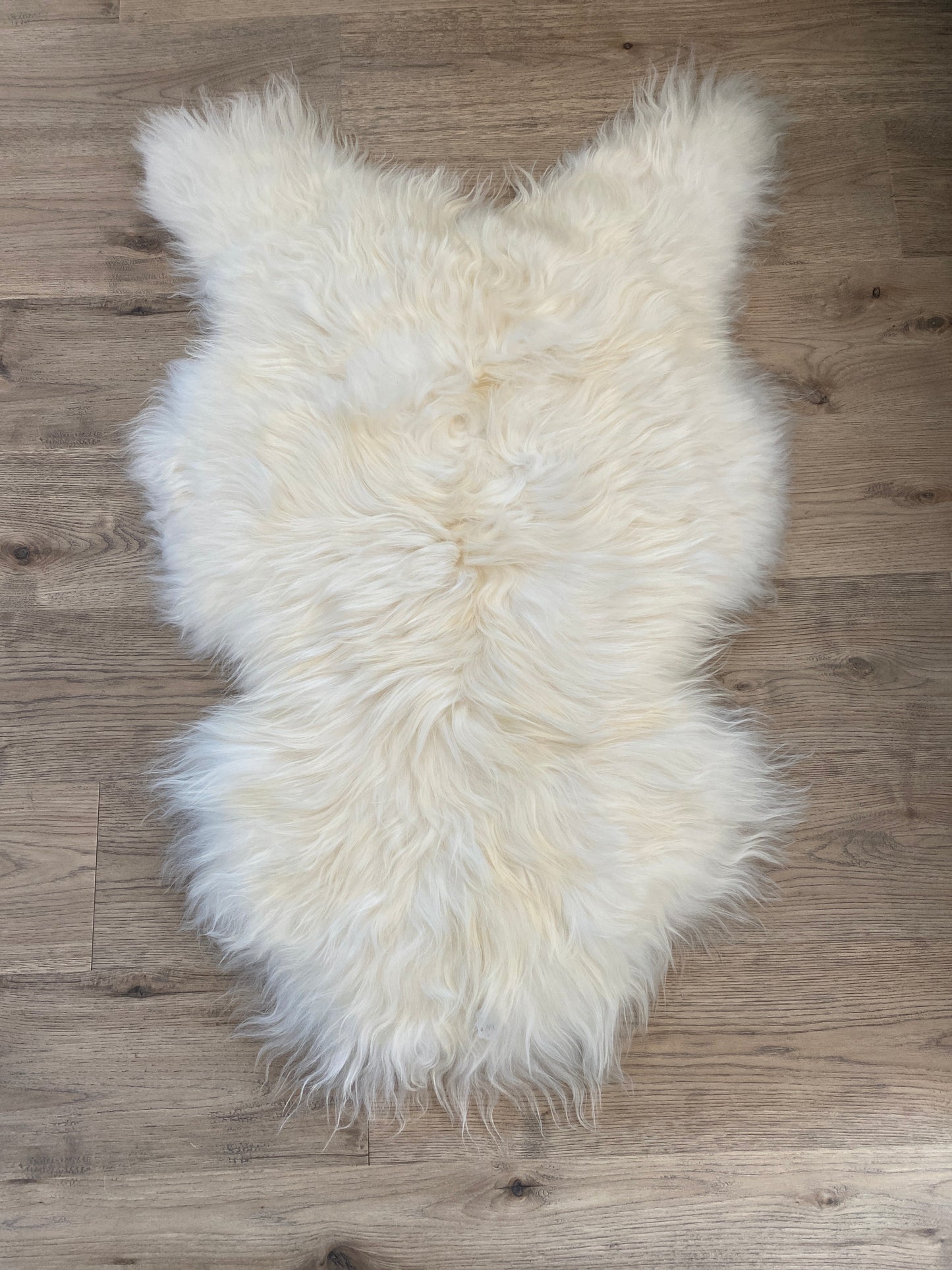 There's Always a Place for The  Classics White Genuine Icelandic Sheepskin