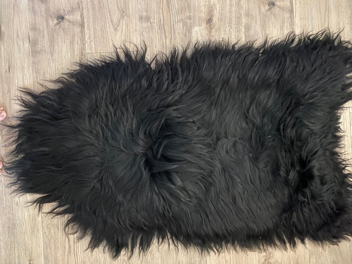 Very Dark Brown Icelandic Sheepskin