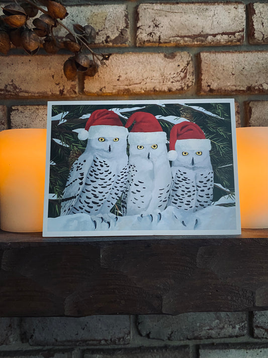 Santa Owls Christmas Card