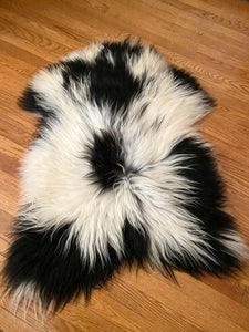 A Unique Piebald Icelandic Sheepskin