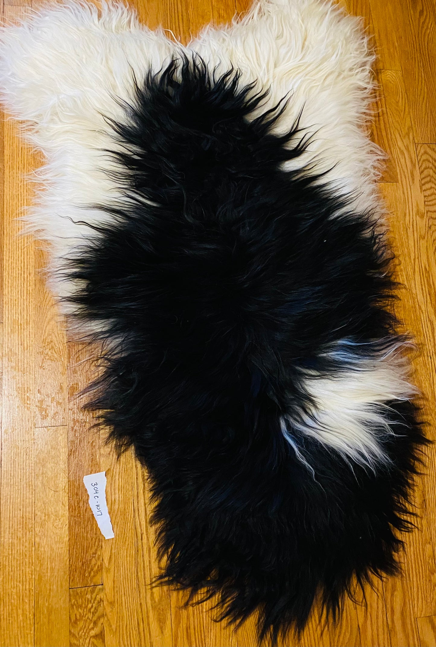 Extra Large Piebald Icelandic Sheepskin