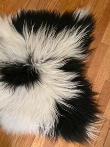 A Unique Piebald Icelandic Sheepskin