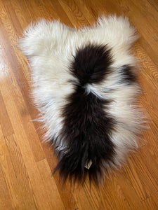 Perfect Chocolate Piebald Sheepskin