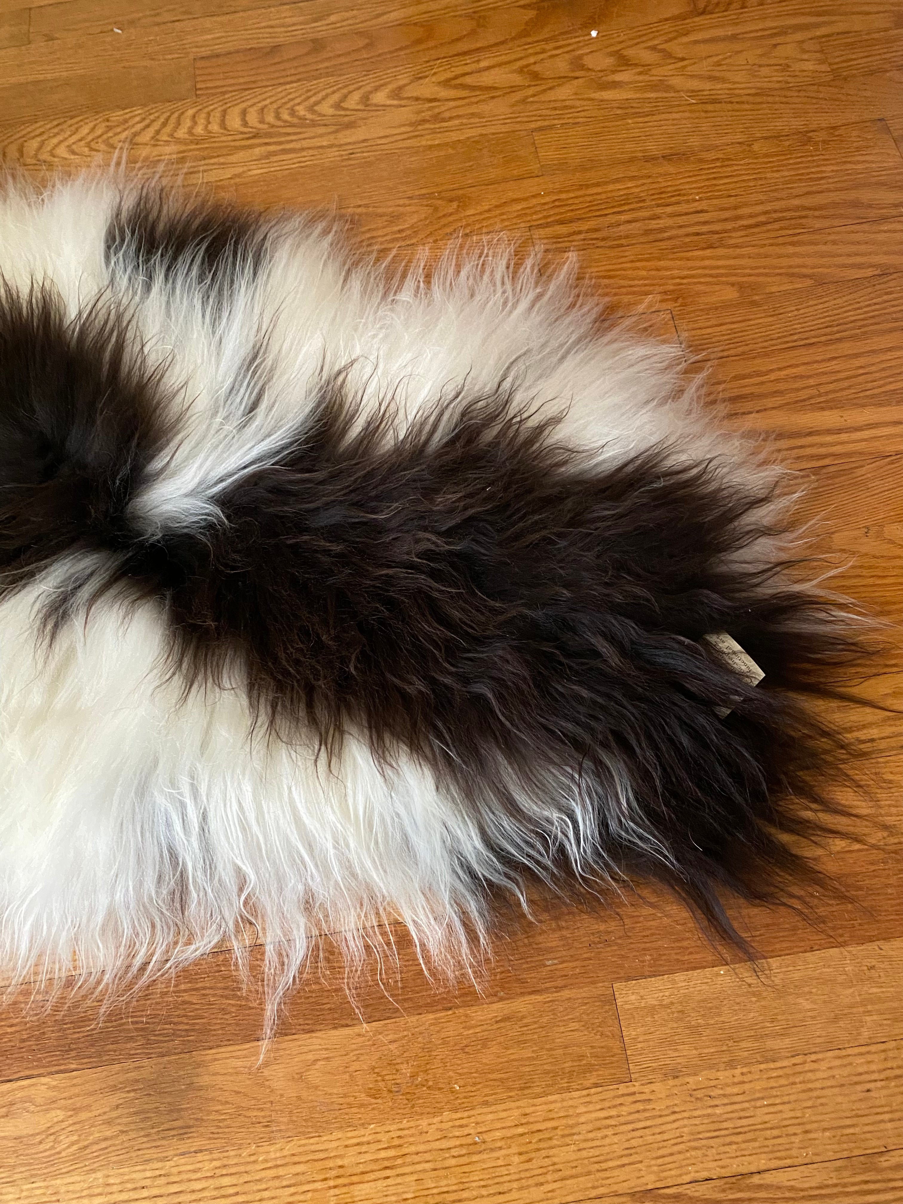 Perfect Chocolate Piebald Sheepskin