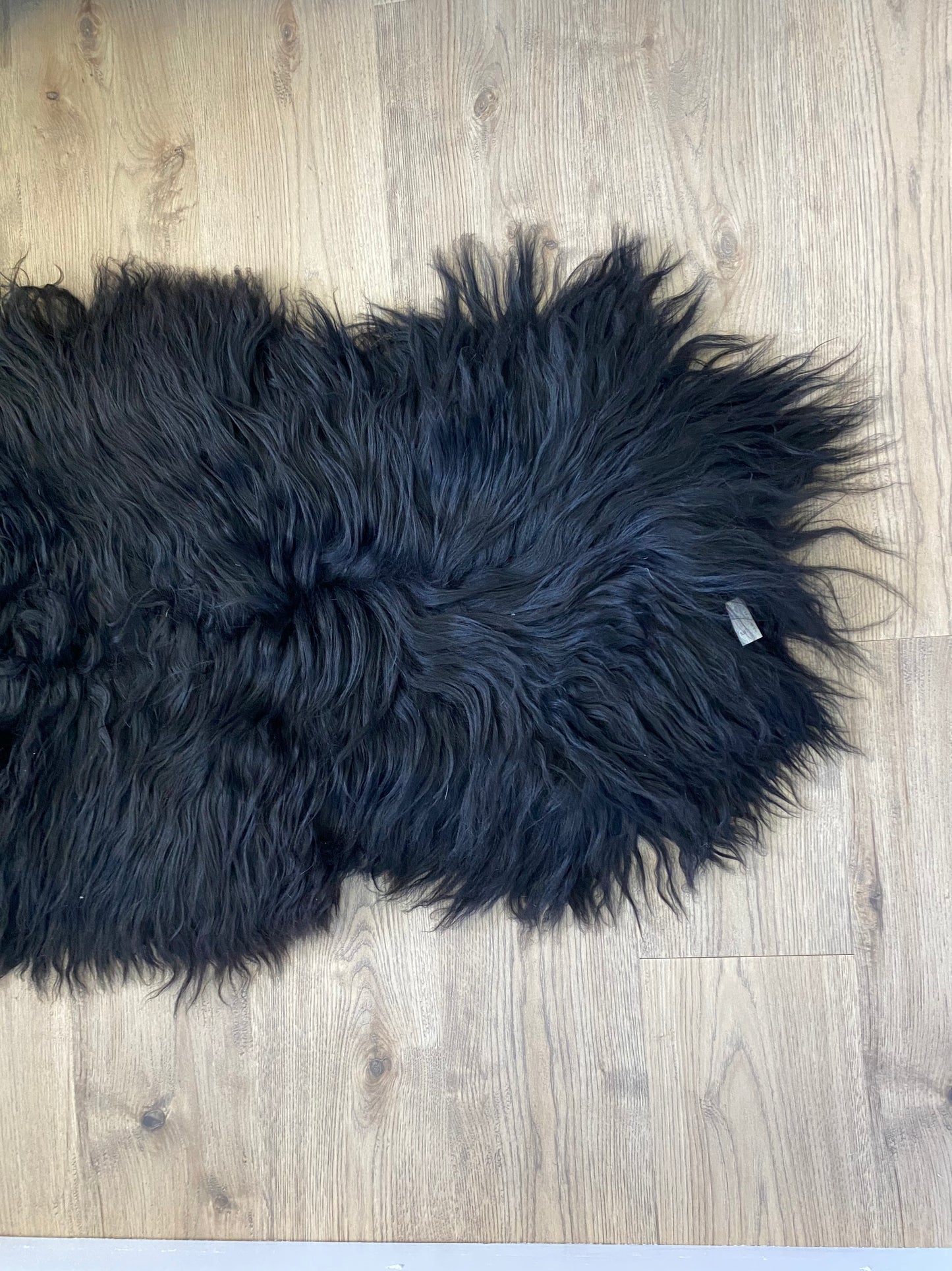 A Very Elegant Black Icelandic Sheepskin
