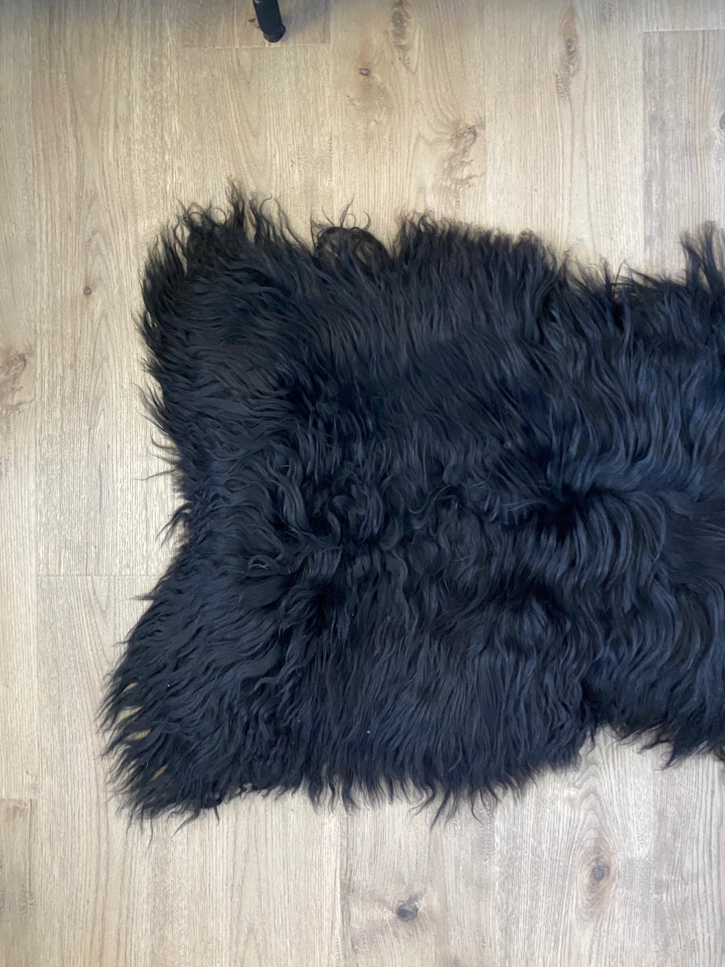 A Very Elegant Black Icelandic Sheepskin
