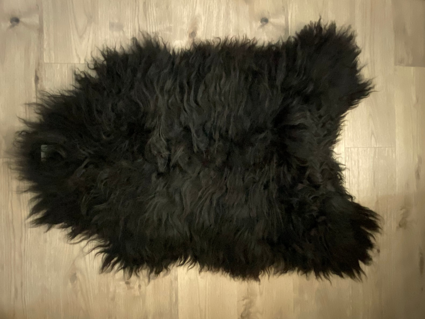 Baa Baa Black Sheep Real Icelandic Sheepskin