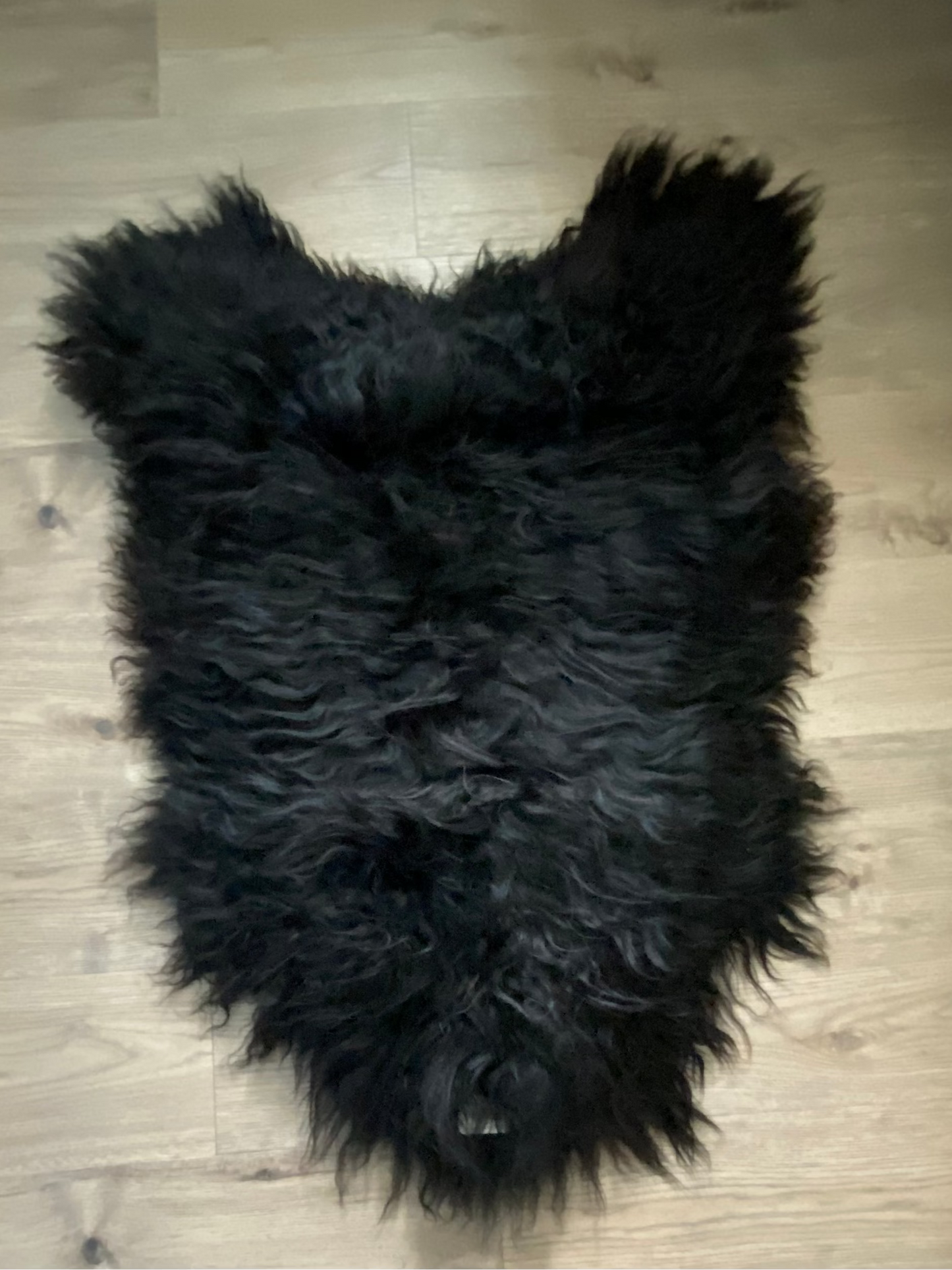 Baa Baa Black Sheep Real Icelandic Sheepskin