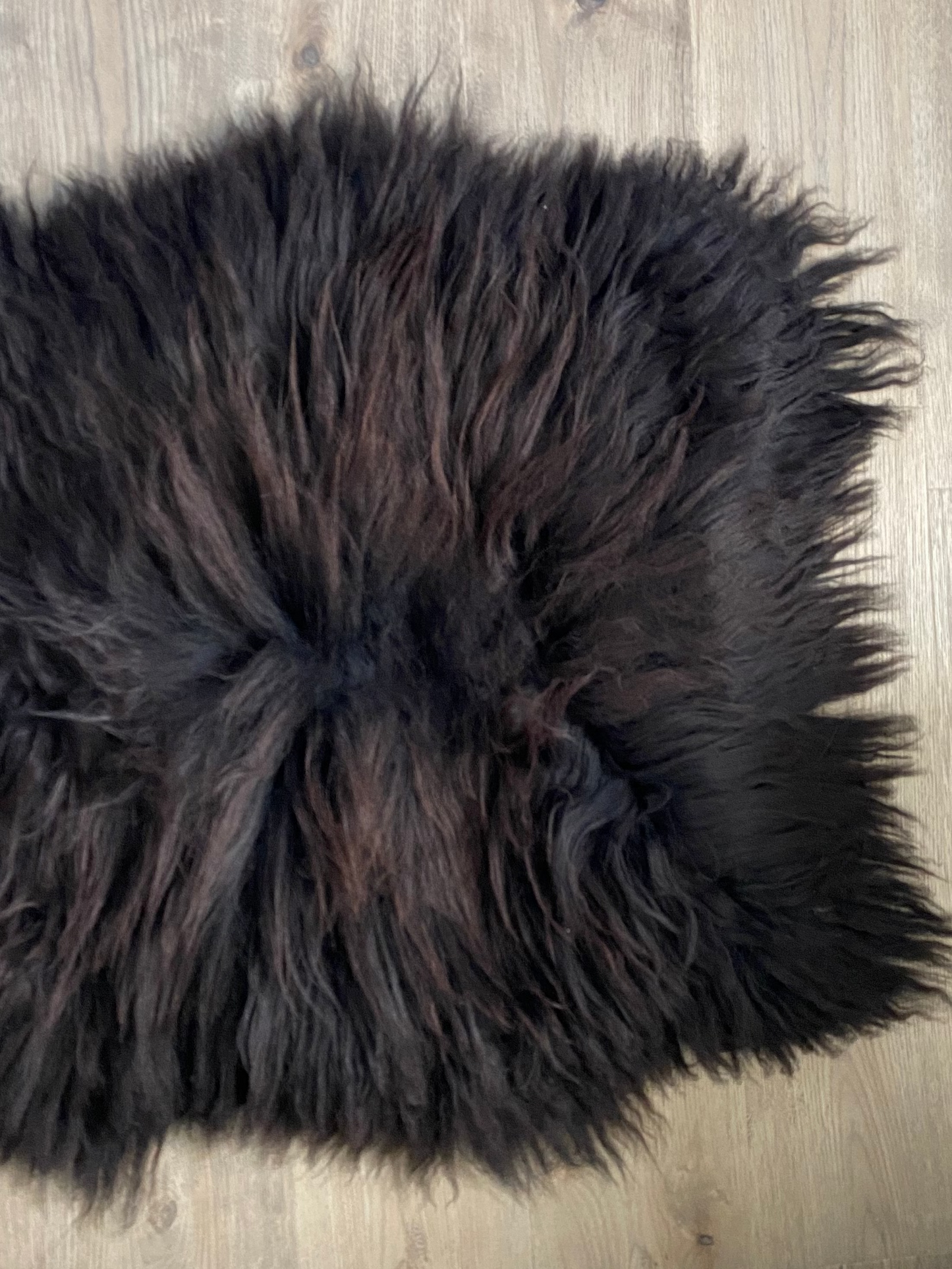 Chocolate Brown Genuine Viking Sheepskin