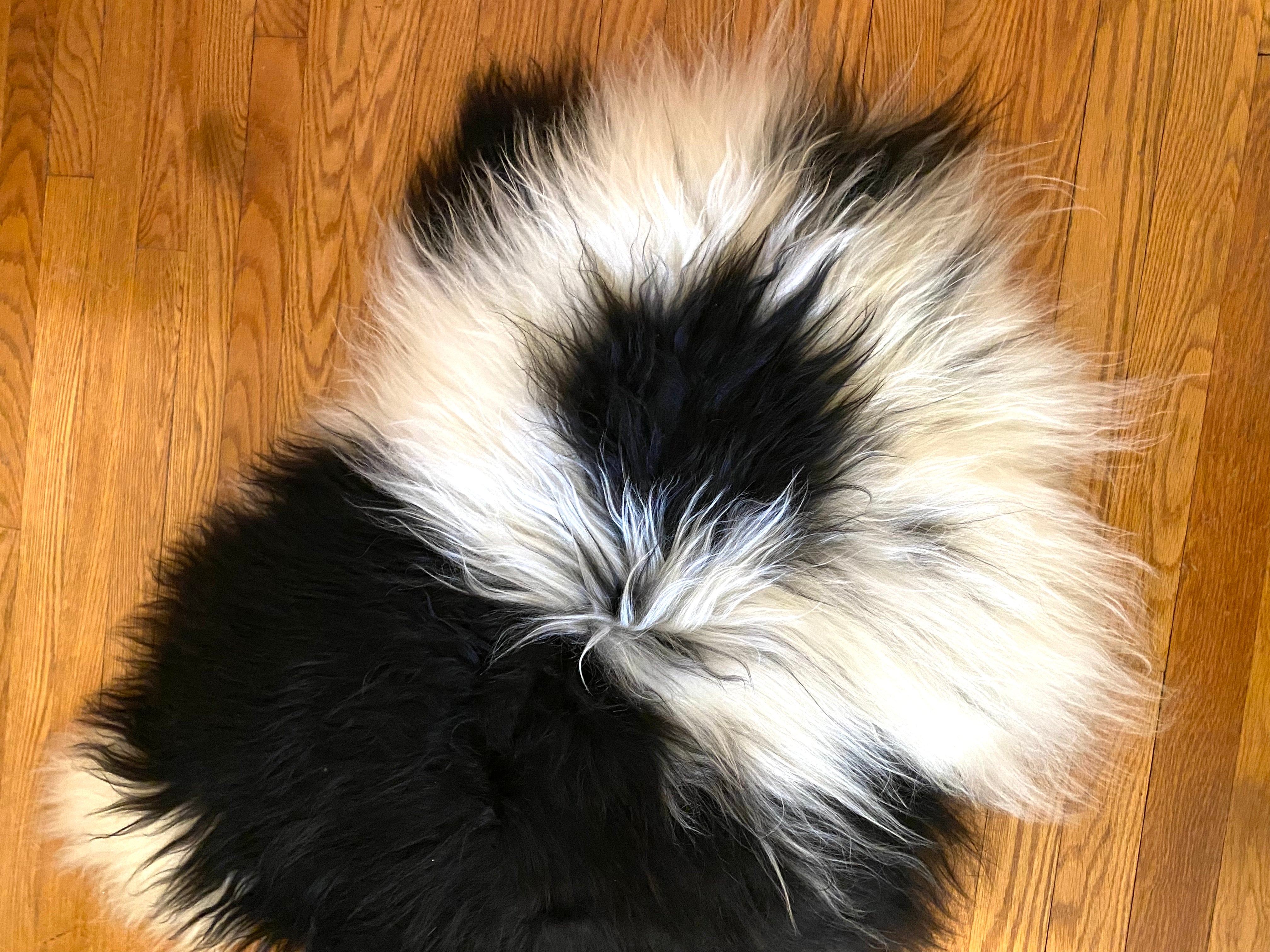 A Small, Soft and Snuggly Piebald Sheepskin