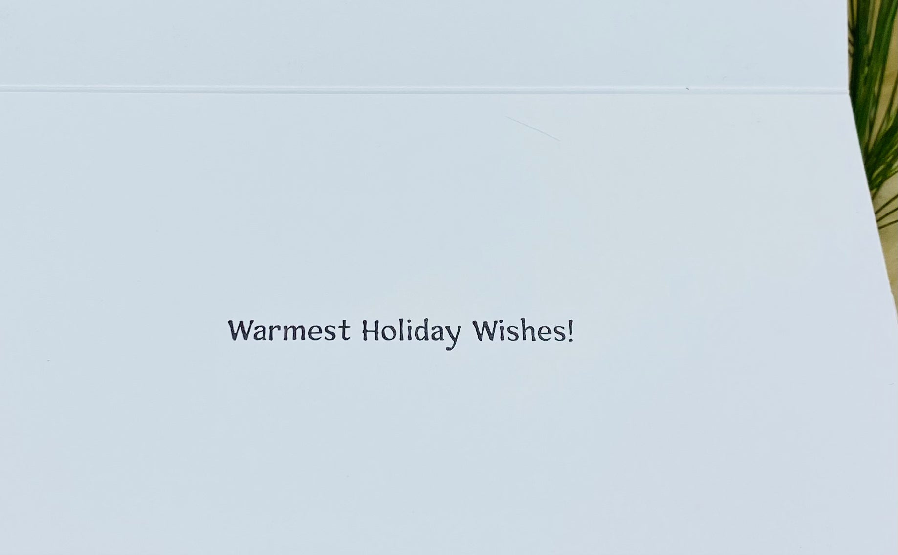 Warmest Holiday Wishes