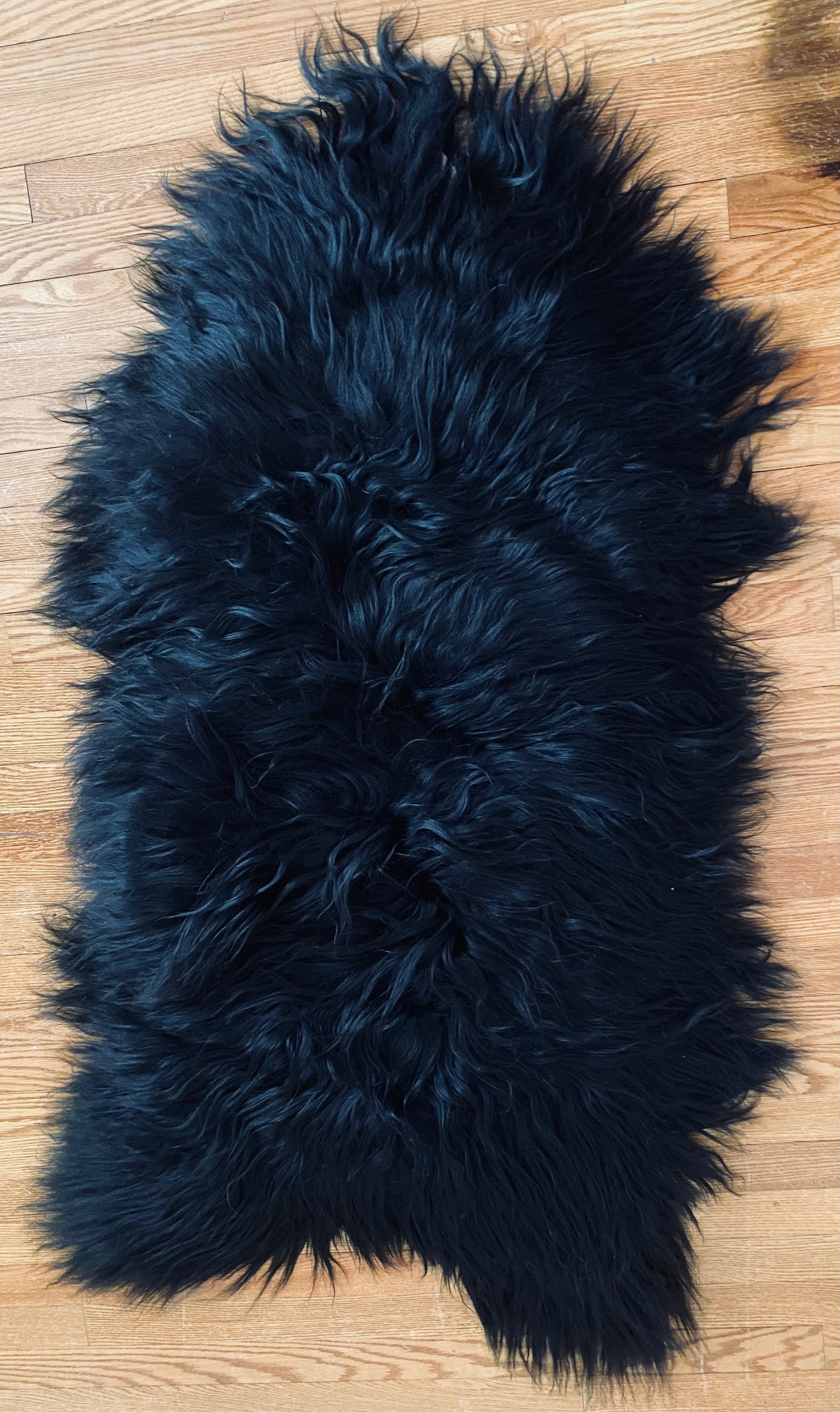 Black Icelandic Sheepskin
