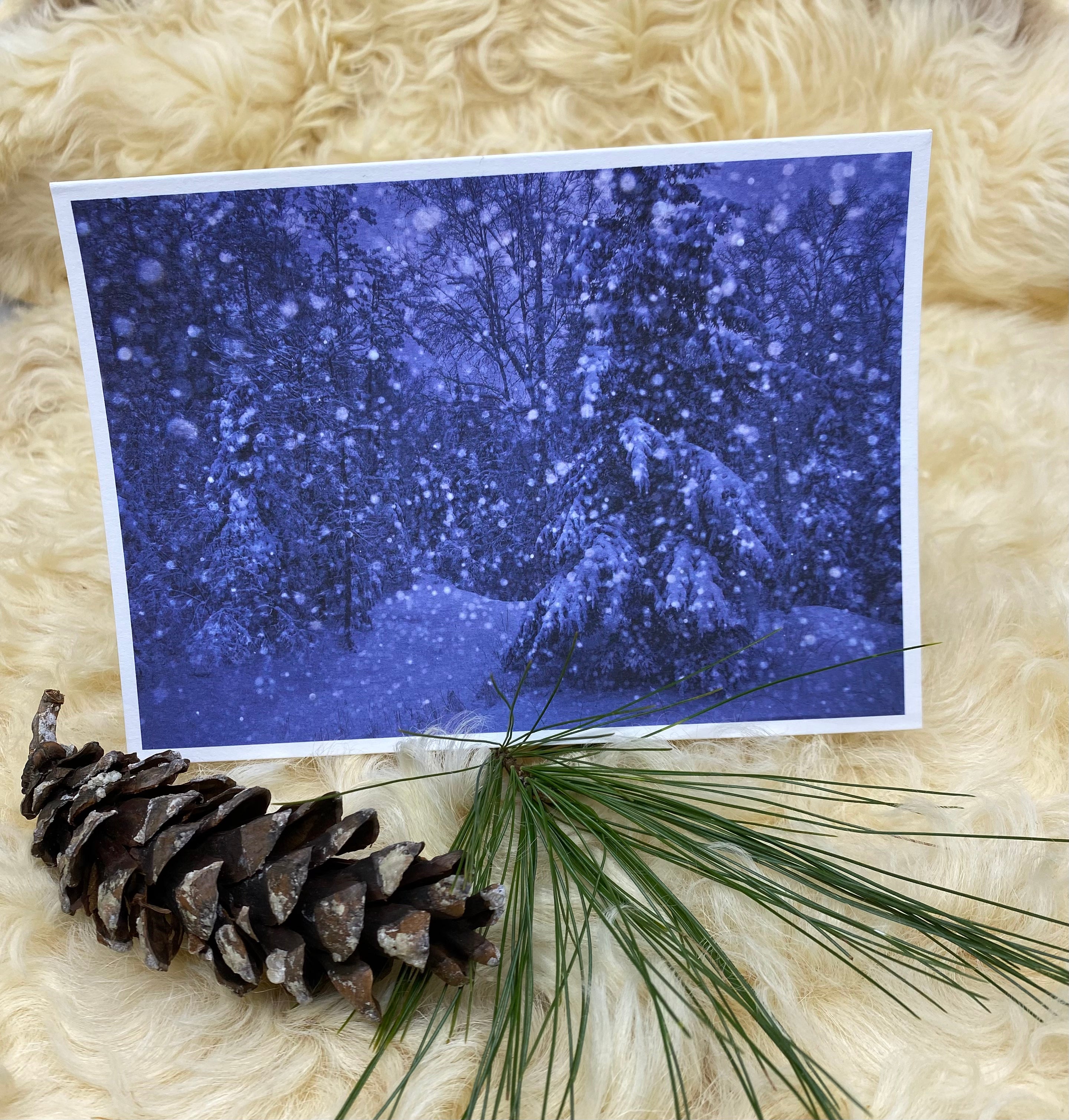 Dusk Snowfall Holiday Cards